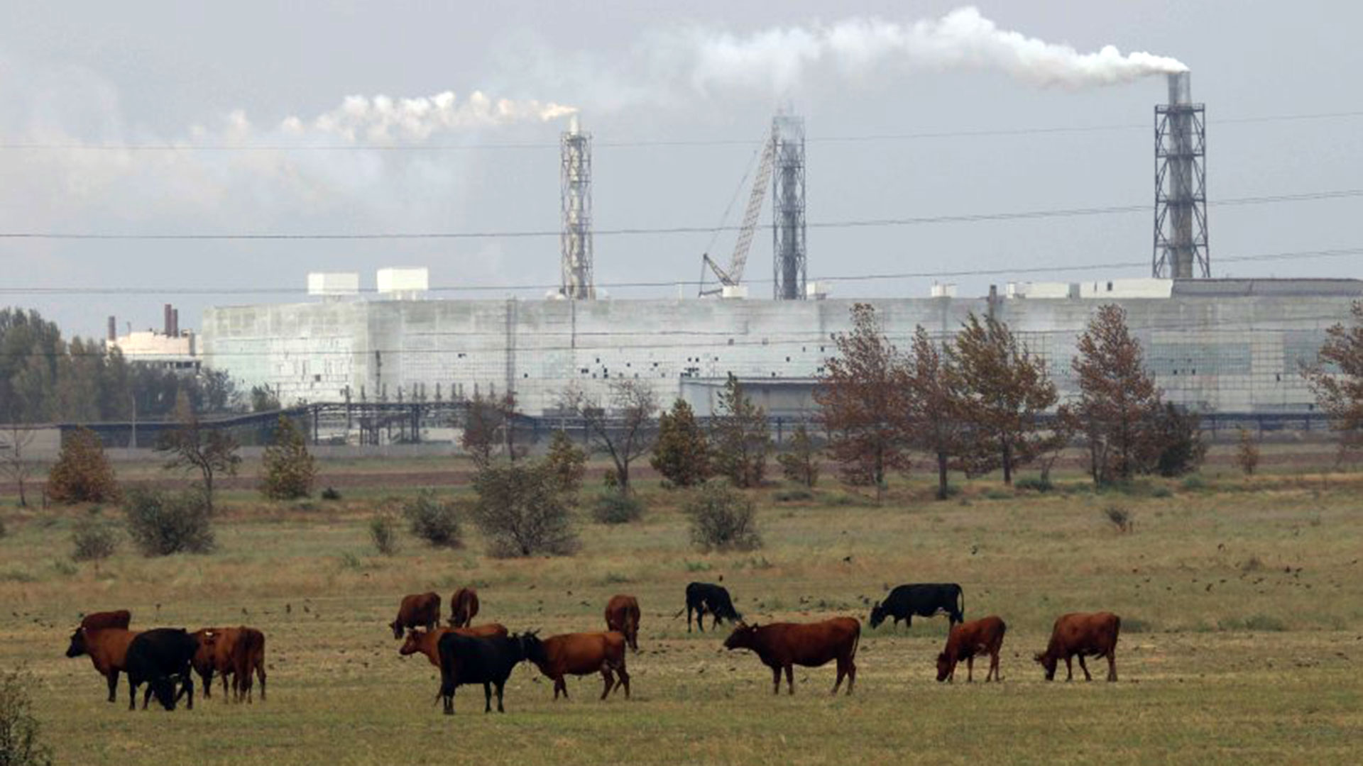 Una vista de la planta (Reuters)