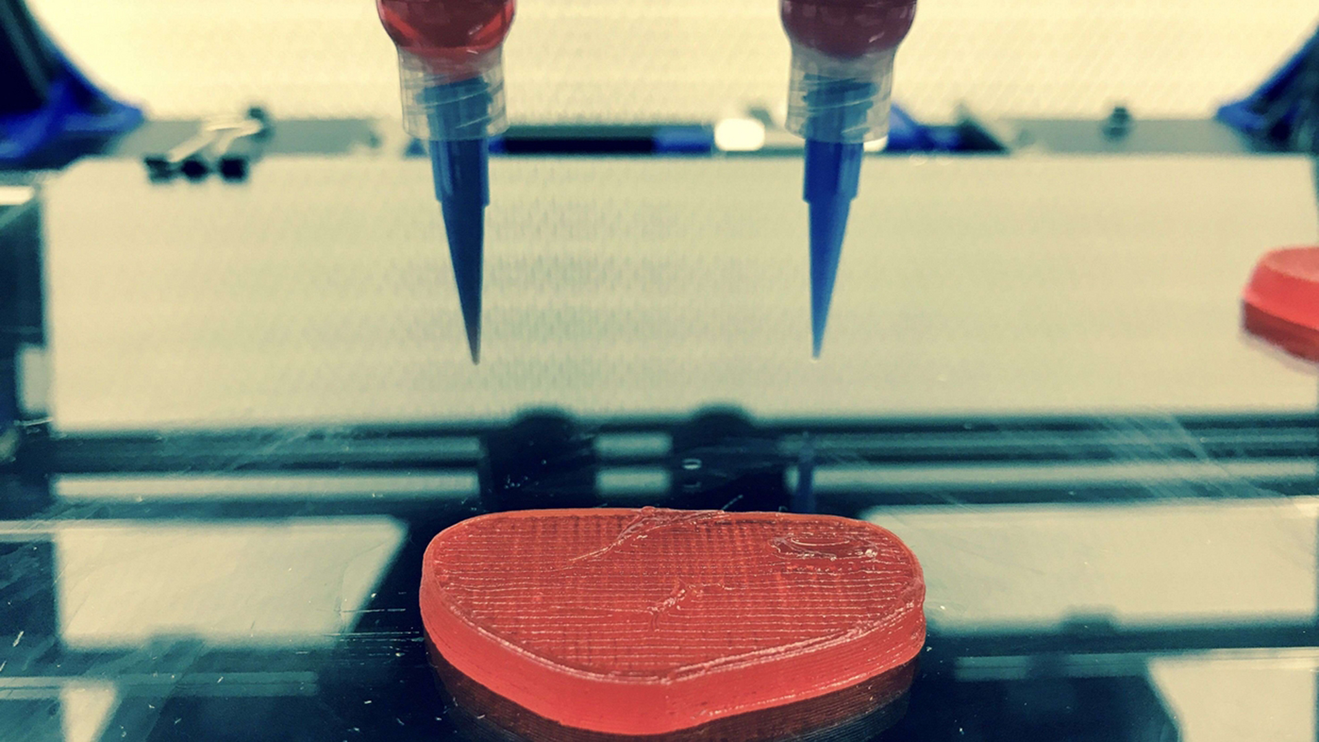 El prototipo de un bistec creado con una impresora 3D en la Universidad Politécnica de Cataluña
