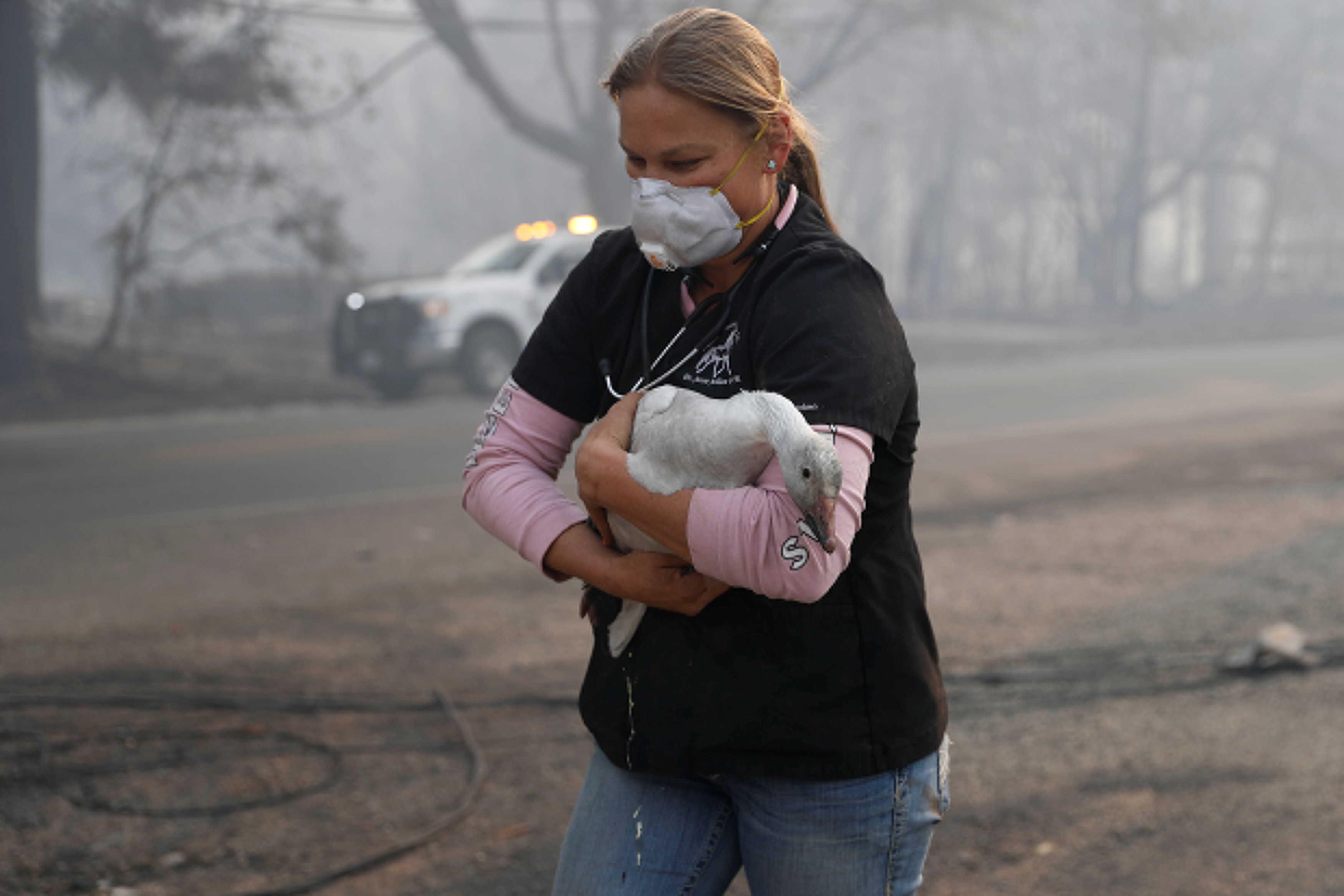 Una mujer salva un ganso del incendio. REUTERS/Stephen Lam