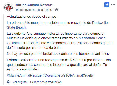 Publicación en Facebook de Marine Animal Rescue, que ofrecerá cinco mil dólares a quien revele información