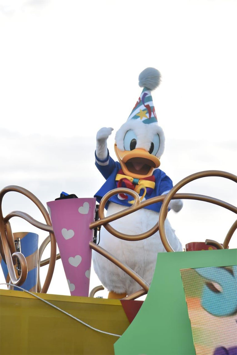 Donald Duck (Martín Hernandez)