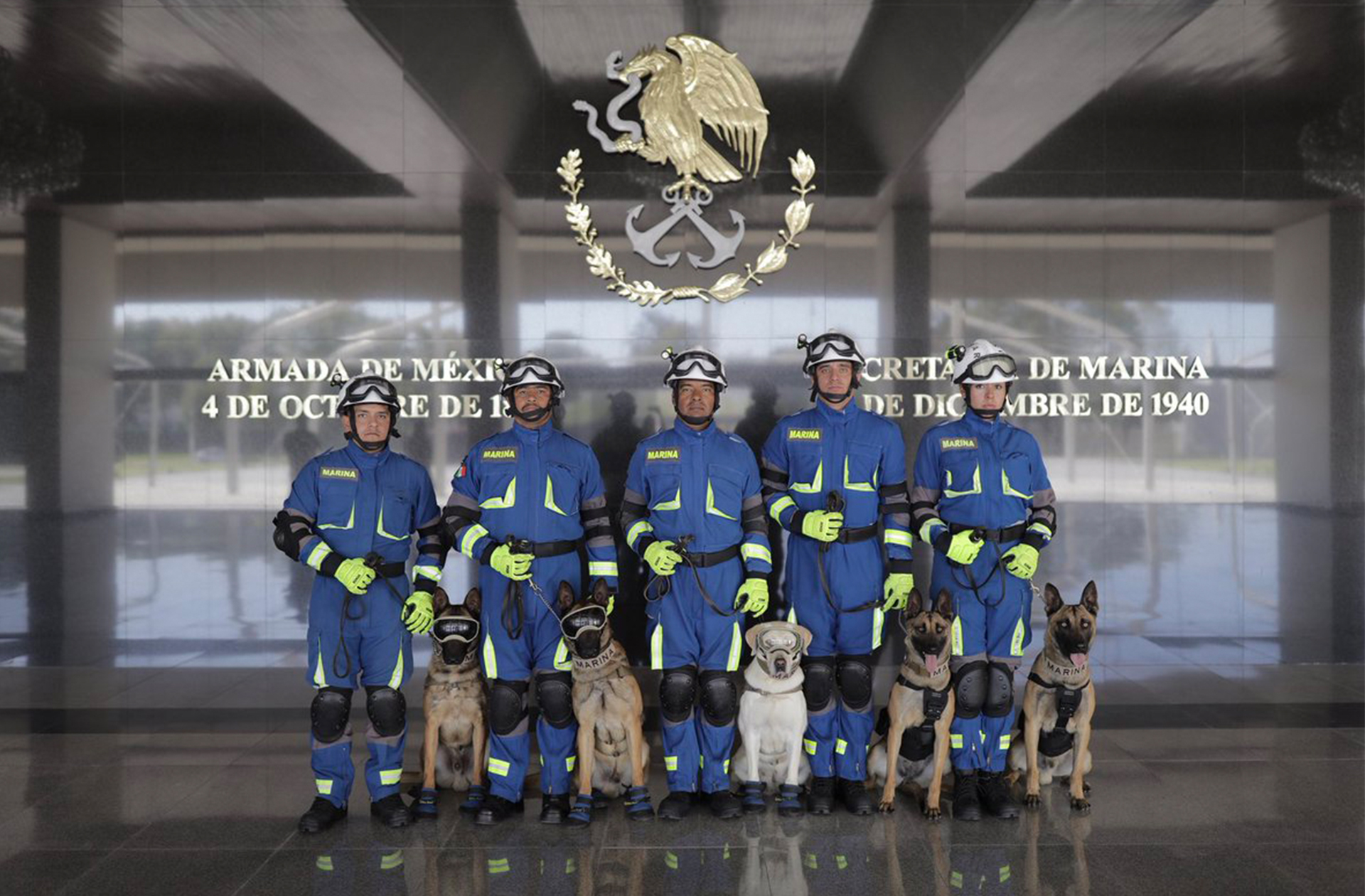 Los heróicos canes se han convertido en una de las principales atracciones de la Armada. (Foto:@Santiago_Arau)