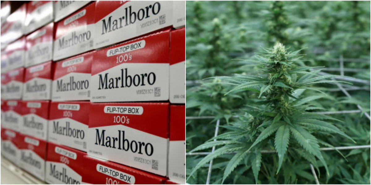 El gigante tabacalero decidió involucrarse en el mercado del cannabis (Foto: AP)