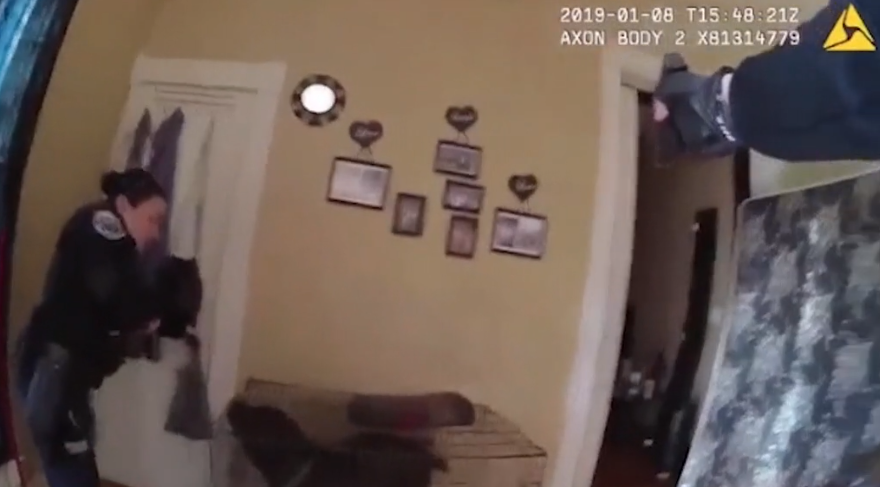 En la sala de la vivienda había un perro enjaulado de tamaño grande que ladraba a los agentes (Foto: Captura de pantalla video Departamento de Policía de Lafayette)