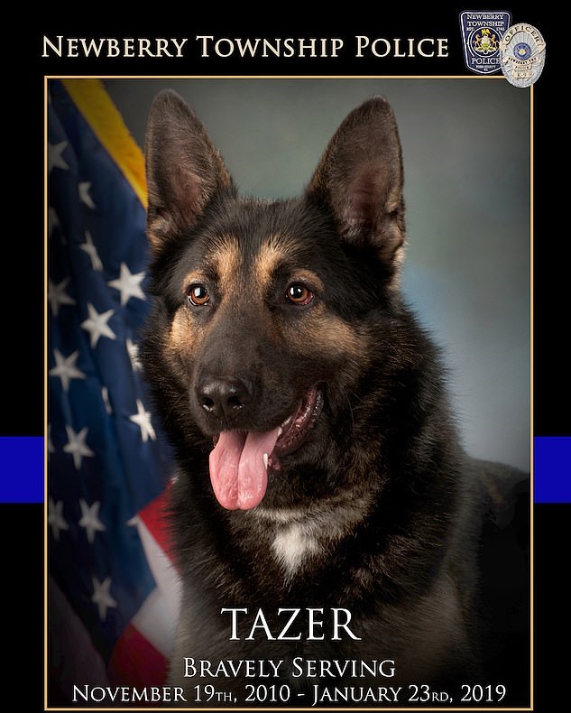 El veterinario se sorprendió de que Tazer hubiera seguido trabajando pese a su estado(Foto: Facebook Newberry Township Police)