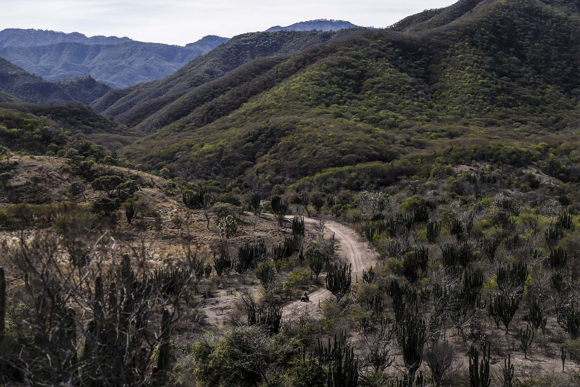 Vista de las montañas de Badiraguato (Photo by RASHIDE FRIAS / AFP)