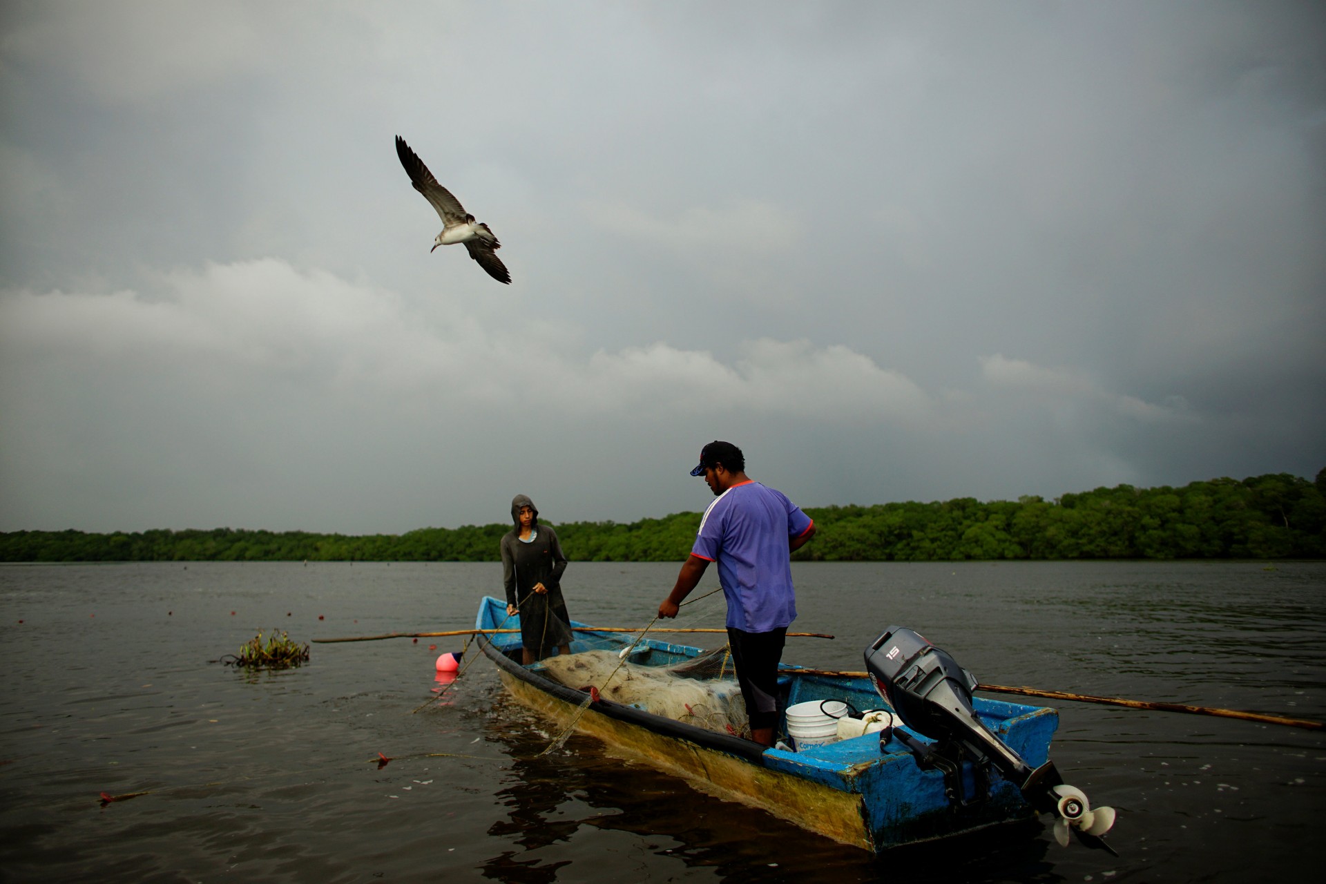 Una gaviota vuela sobre los pescadores en la laguna de Mecoacan, cerca de Paraiso, México, el 9 de diciembre de 2018.