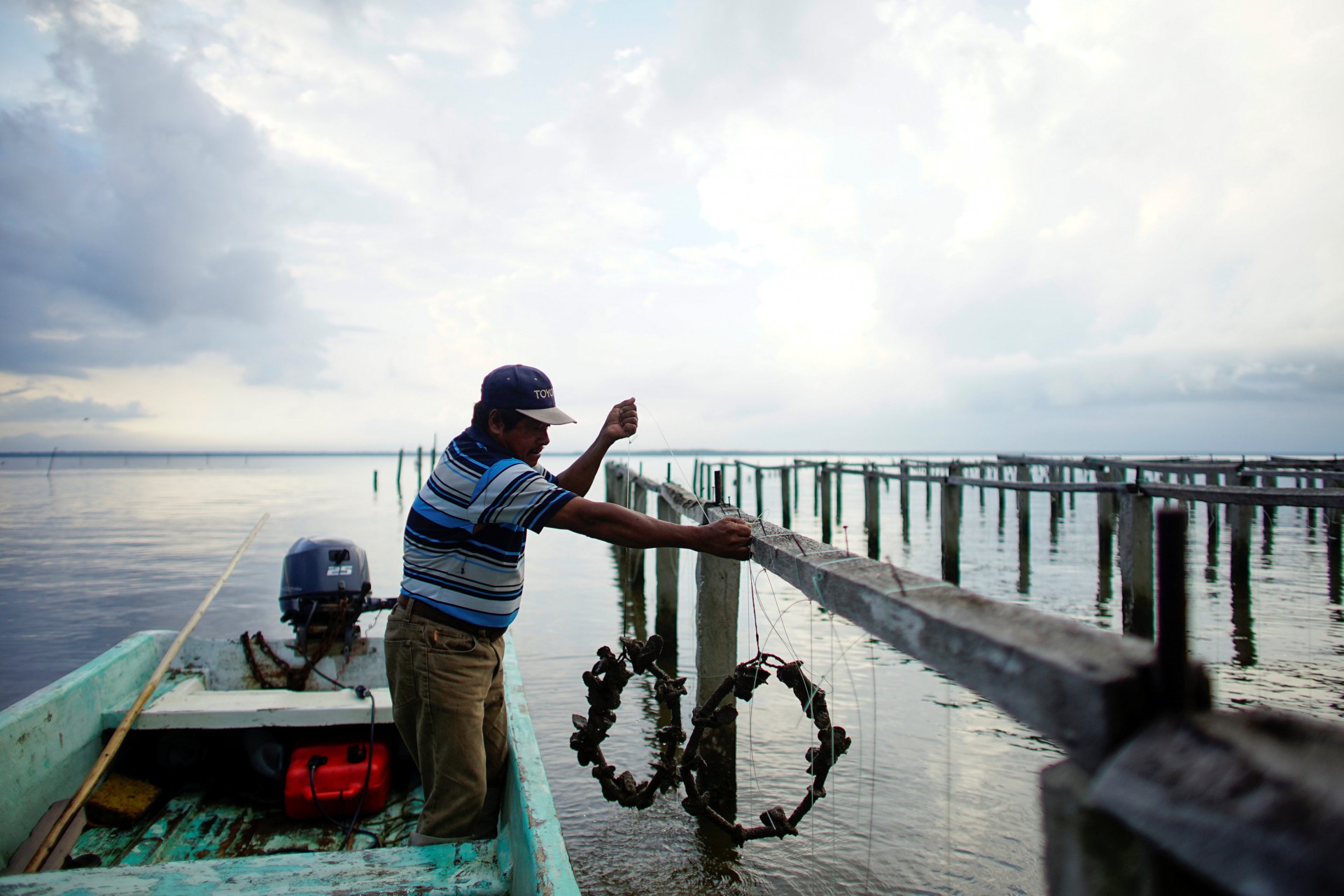 El pescador Rafael de la Cruz Hernández, de 60 años, sostiene algunas ostras en una granja de ostras en la laguna Mecoacan cerca de Paraiso, México, el 9 de diciembre de 2018.