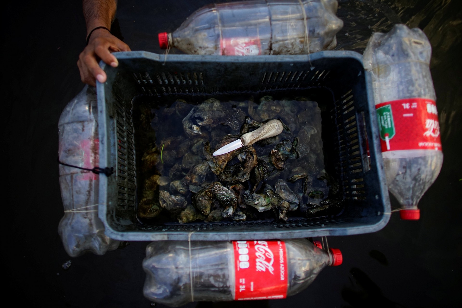El pescador Carlos Reyes muestra una caja flotante improvisada utilizada para almacenar ostras mientras trabaja en un área de manglares en la laguna Mecoacan cerca de Paraiso, México, el 9 de diciembre de 2018.
