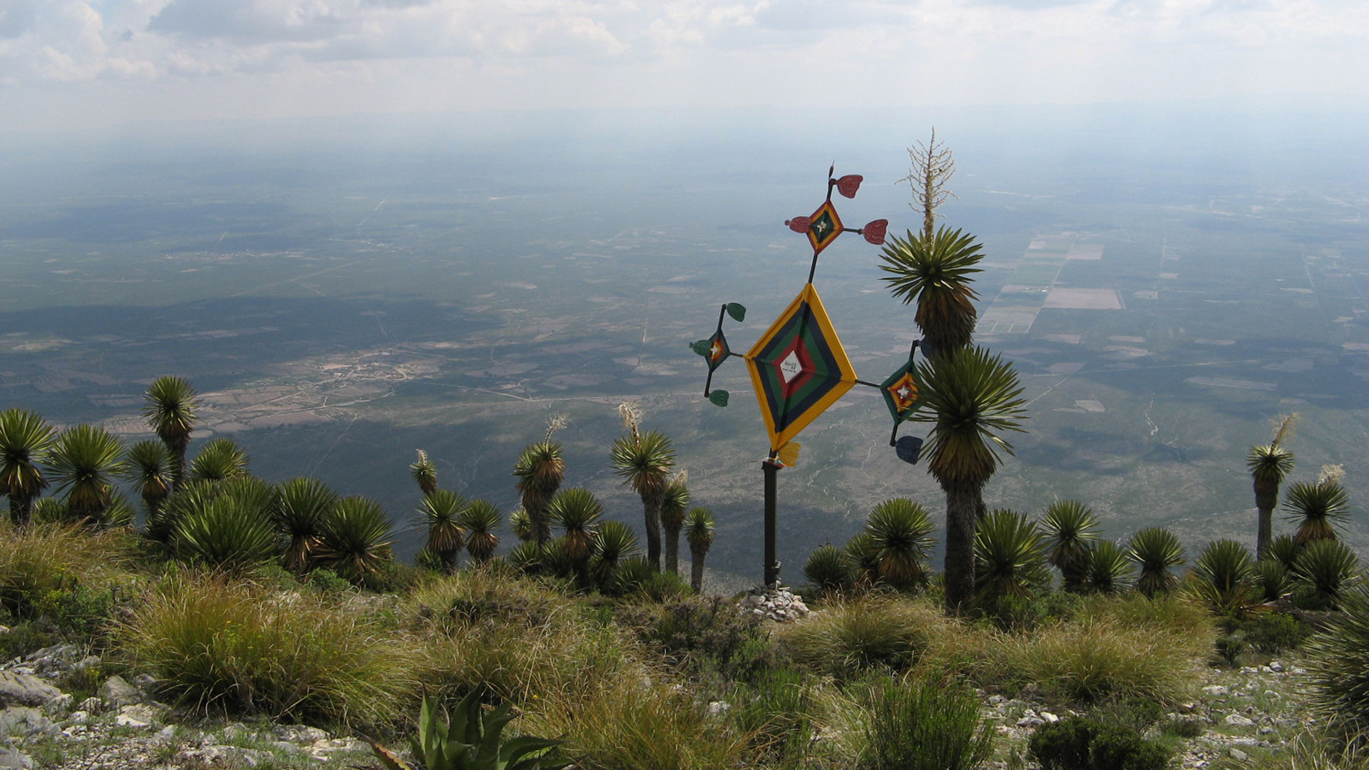 Wirkuta, en San Luis Potosí, es la zona donde cada año se realiza la cereminia del peyote. (Foto: Flickr / anaroza)
