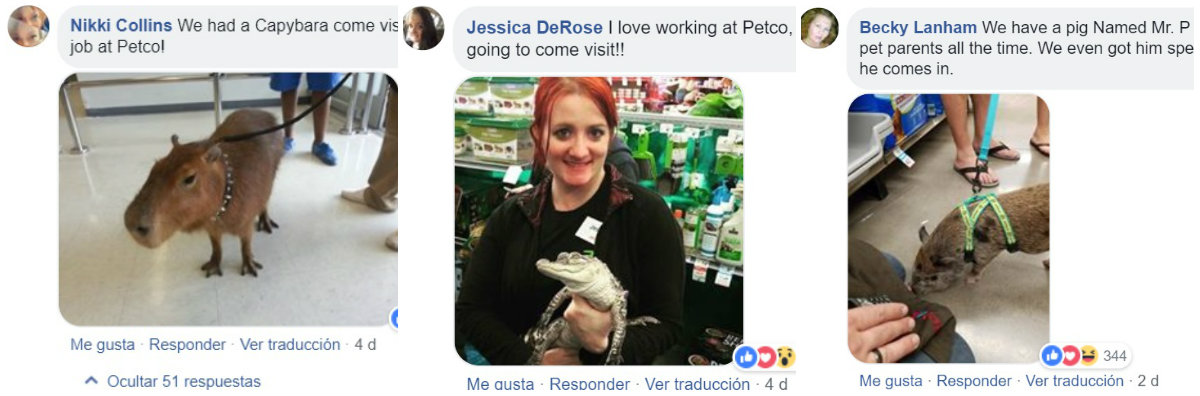 Usuarios de redes presumieron su amor por sus mascotas cuando también las llevaron a pasear a la tienda, eso sí, con correa Fotos: (Facebook)